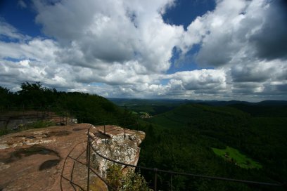 Grenzüberschreitendes Treffen der Naturführer am Oberrhein
