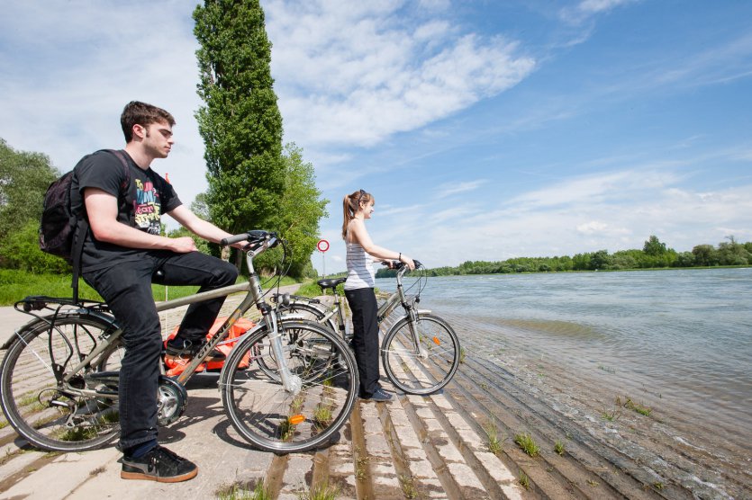 Radfahrer am Rhein