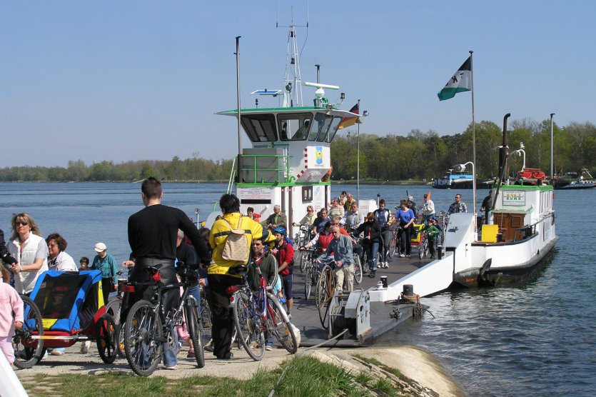 Fahrradfahrer auf Rheinfähre