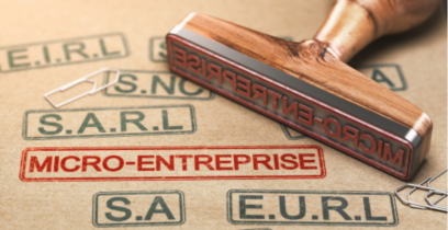 La Micro entreprise : une forme de petit entrepreneur