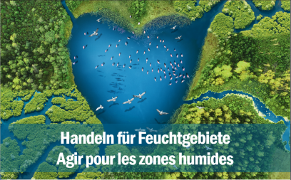 Exkursionswoche „Handeln für Feuchtgebiete“ im deutsch-französischen Ramsar-Gebiet Oberrhein/Rhin supérieur