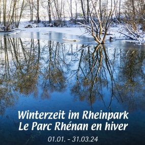 Winterzeit im Rheinpark: Veranstaltungsprogramm
