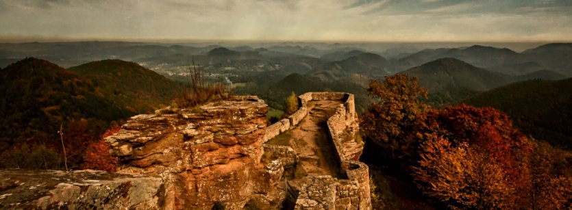 Stellenangebot: Bezirksverband Pfalz