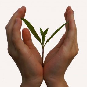 Forum « Adaptation au changement climatique »
