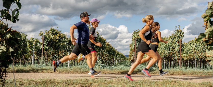 Bréal Marathon
