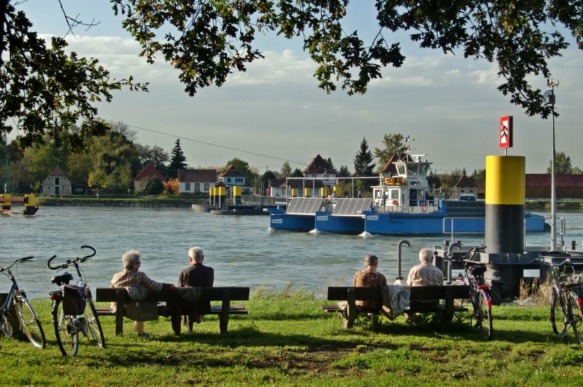 Week-end dédié aux rencontres et à la mobilité aux bords du Rhin