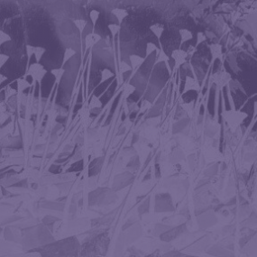 Petit projet SAVOIR-VIVRE : Action graffiti à la gare de Rohrbach