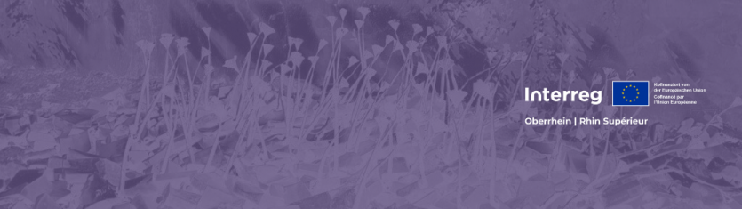 Petit projet SAVOIR-VIVRE : Action graffiti à la gare de Rohrbach