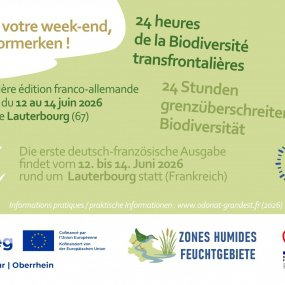 24 Stunden der Biodiversität